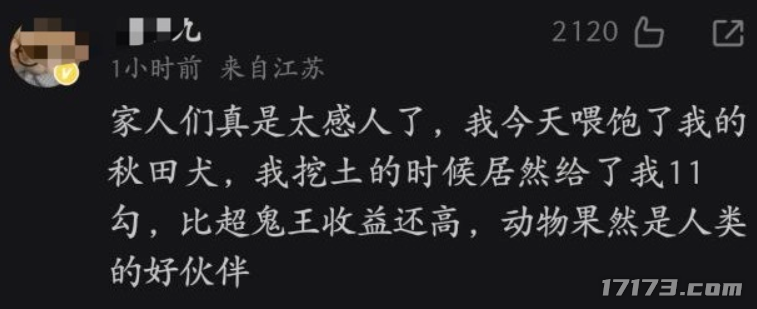 图片24.png